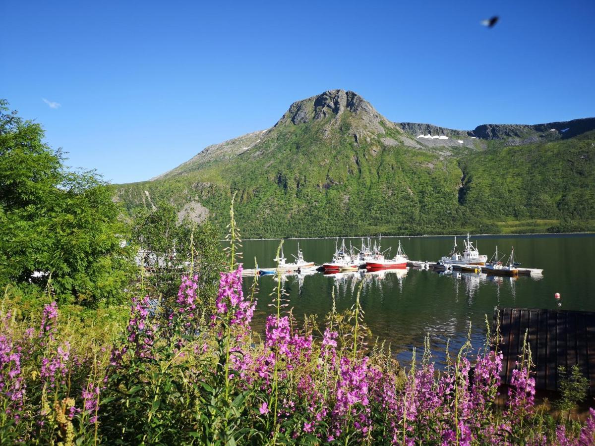Appartement Waterfront Senja à Torsken Extérieur photo