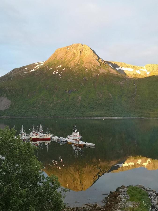 Appartement Waterfront Senja à Torsken Extérieur photo