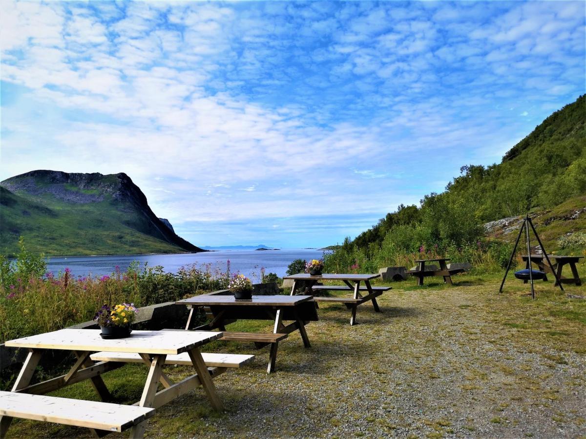 Appartement Waterfront Senja à Torsken Extérieur photo