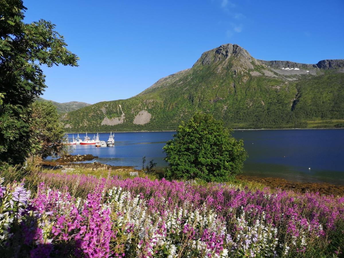 Appartement Waterfront Senja à Torsken Extérieur photo